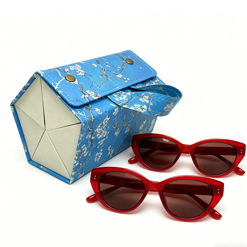 5in1 Sunglasses Travel Case Organizer Hangable, Eyeglasses Foldable Storage Organizer