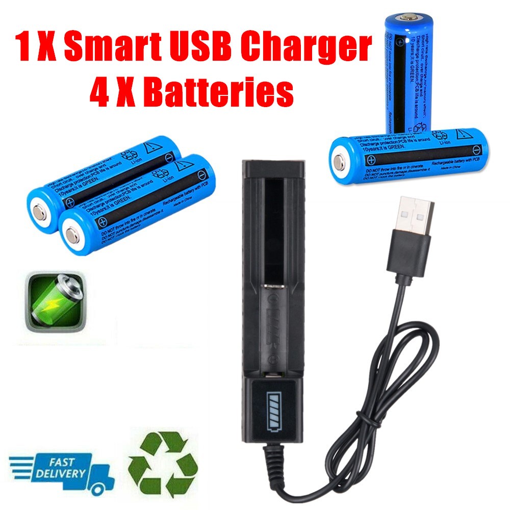 Chargeur USB Batteries Li-ion 18650 3000mAh