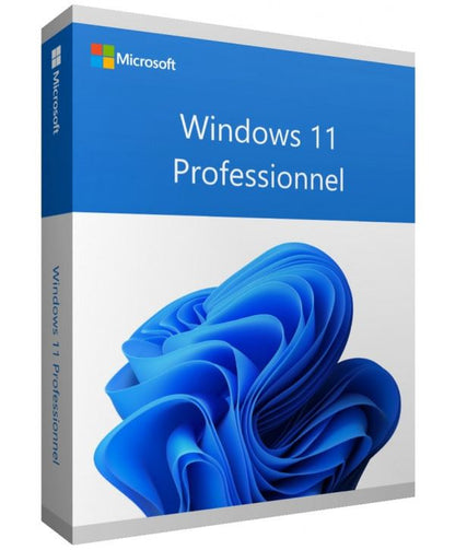 Windows 11 Professionnel /Licence