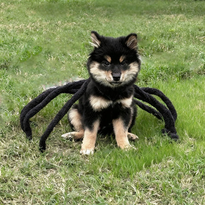 Spider Back Design Pet Halloween Costume – Fits Cats, Small/Medium Dogs & Puppies