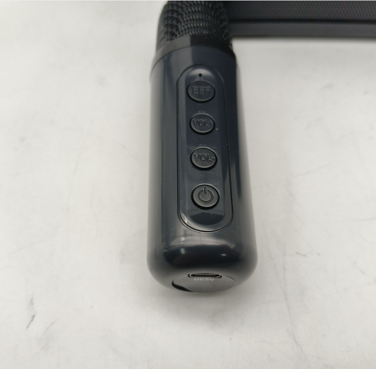 Système Karaoké Bluetooth Sans Fil - 2 Micros & Écho