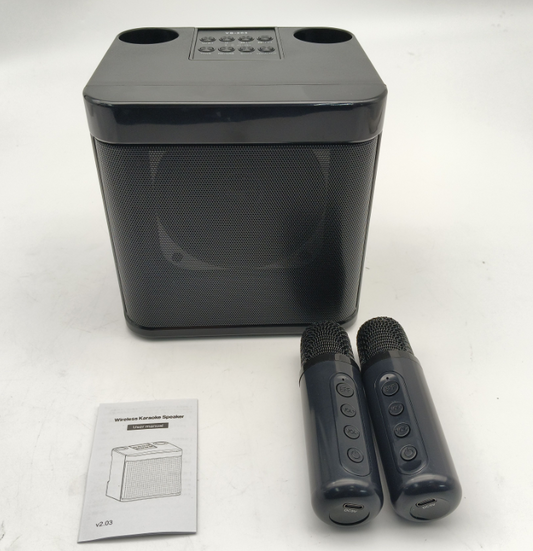 Wireless Bluetooth Karaoke Home Echo System Singing Machine Dual Mic Speaker AU