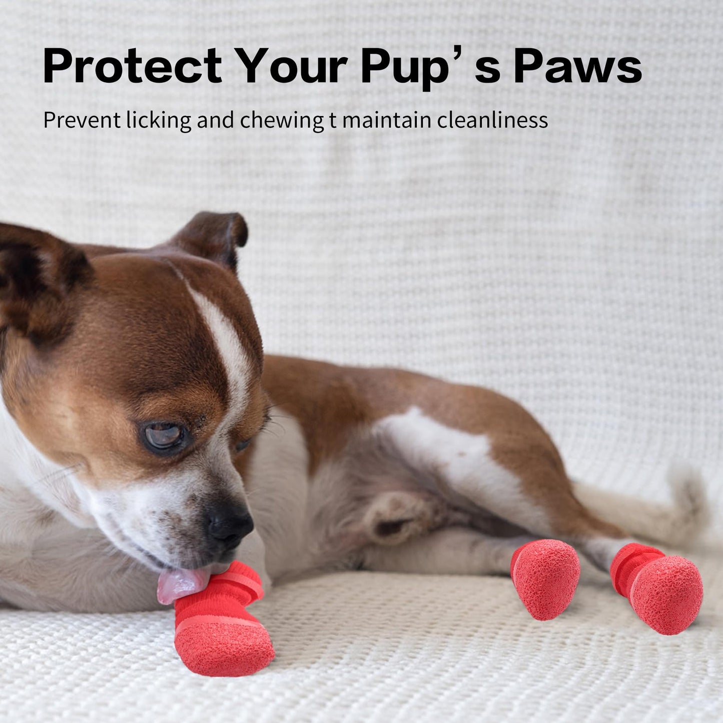 Chaussettes Antidérapantes pour Chien - Protège-Pattes