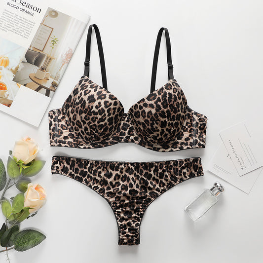 Women's Lingerie Set, Sexy Push-up Bra And Panties