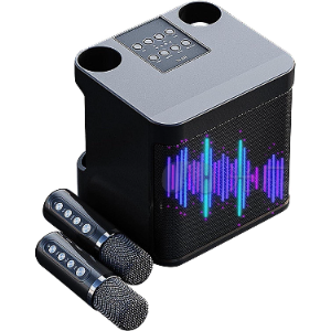 Système Karaoké Bluetooth Sans Fil - 2 Micros & Écho