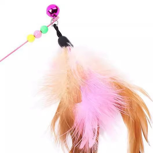 Canne à Plumes pour Chat avec Clochette - Anti-morsure