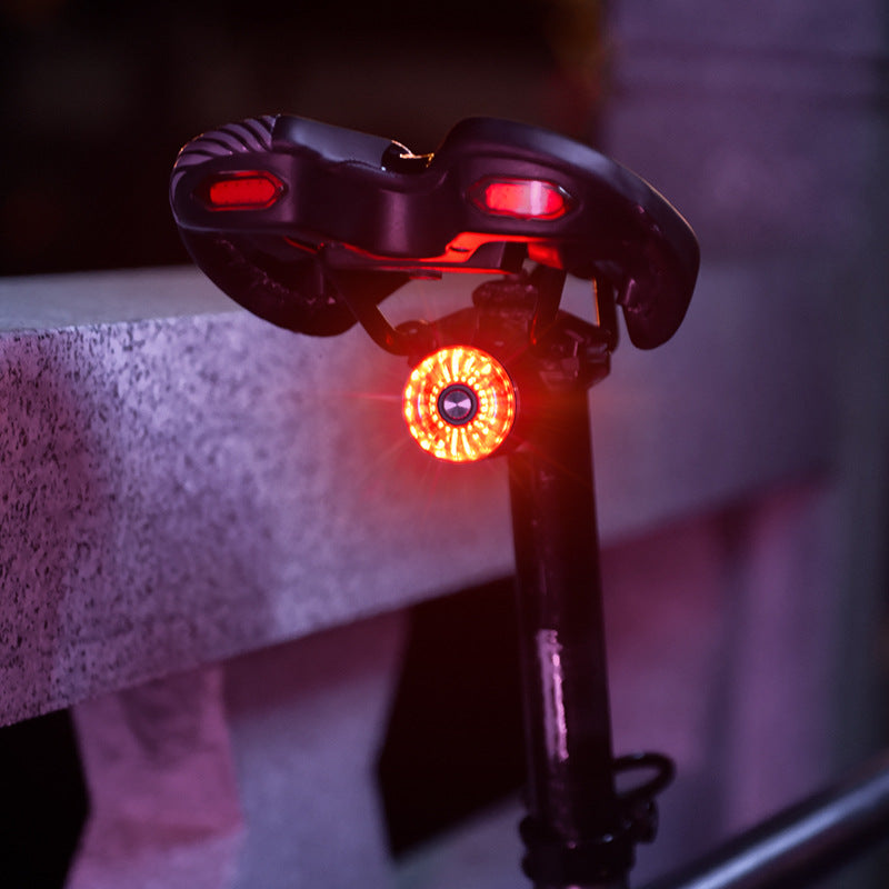 Waterproof Bicycle Cycling Taillight Brake Sensing Bike Rear Lights USB-C Charge