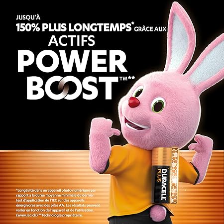 DURACELL Plus Piles AA Lot de 48 - Piles Alcalines 1,5V POWER BOOST