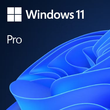 Windows 11 Professionnel /Licence