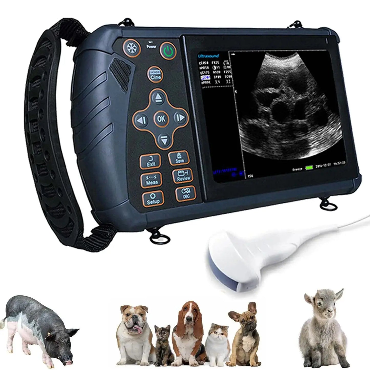 Scanner à ultrasons vétérinaire Portable, Machine Ultra portative de contrôle de grossesse vétérinaire, pour utilisation de porc, mouton, vache, cheval, chien, chat