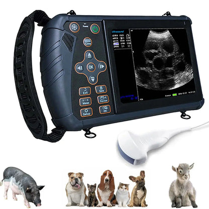 Scanner à ultrasons vétérinaire Portable, Machine Ultra portative de contrôle de grossesse vétérinaire, pour utilisation de porc, mouton, vache, cheval, chien, chat