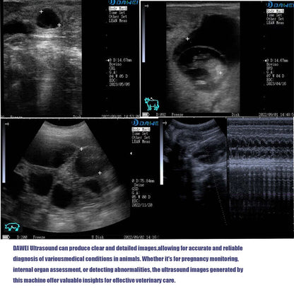 Scanner à ultrasons vétérinaire Portable, Machine Ultra portative de contrôle de grossesse vétérinaire, pour utilisation de porc, mouton, vache, cheval, chien, chat