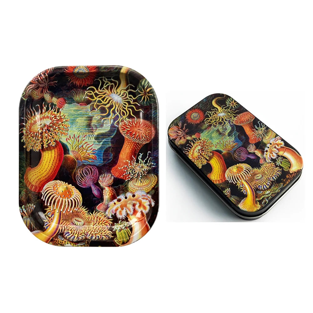 2Pcs Dish Tin Storage Plate Small Container Cigarette Case with 18X14cm Metal Tobacco Tinplate Rolling Tray Smoking Accessories