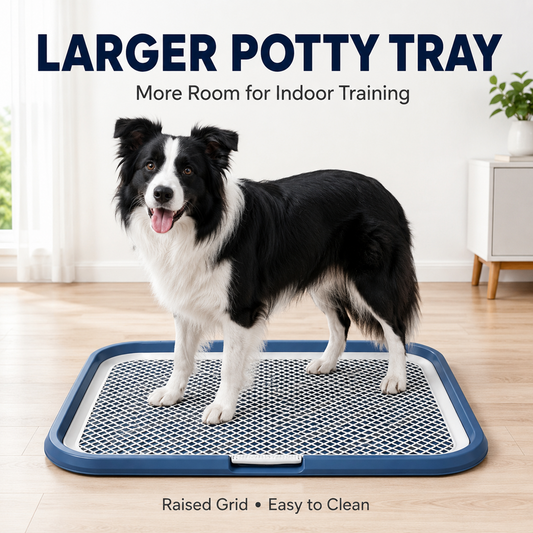Bac à Toilette pour Chien avec Grille Amovible - Anti-fuite