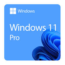 Windows 11 Professionnel /Licence